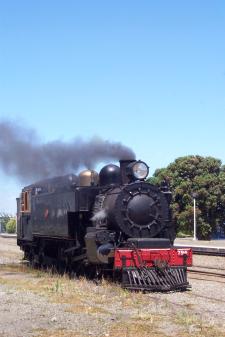 Wab 794 in Feilding
